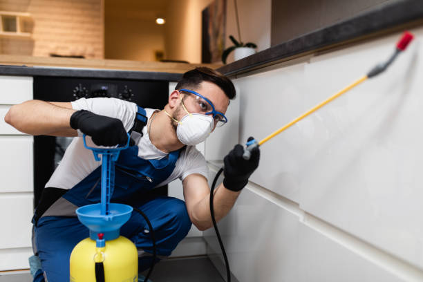 Best Pest Prevention Services  in Taylors Falls, MN