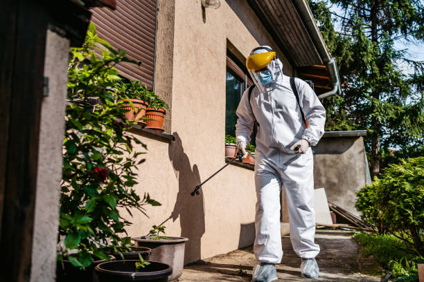 Best Local Pest Control Services  in Taylors Falls, MN