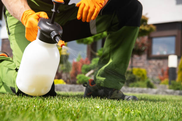Best Mosquito Control Services  in Taylors Falls, MN