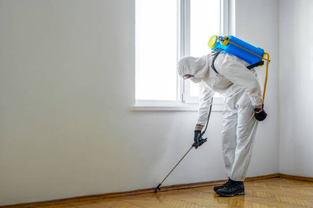 Trusted Taylors Falls, MN Pest Control Experts
